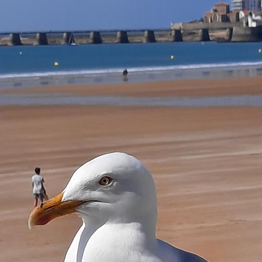 Appartement Vue Sur Mer Les Sables-dʼOlonne Eksteriør bilde
